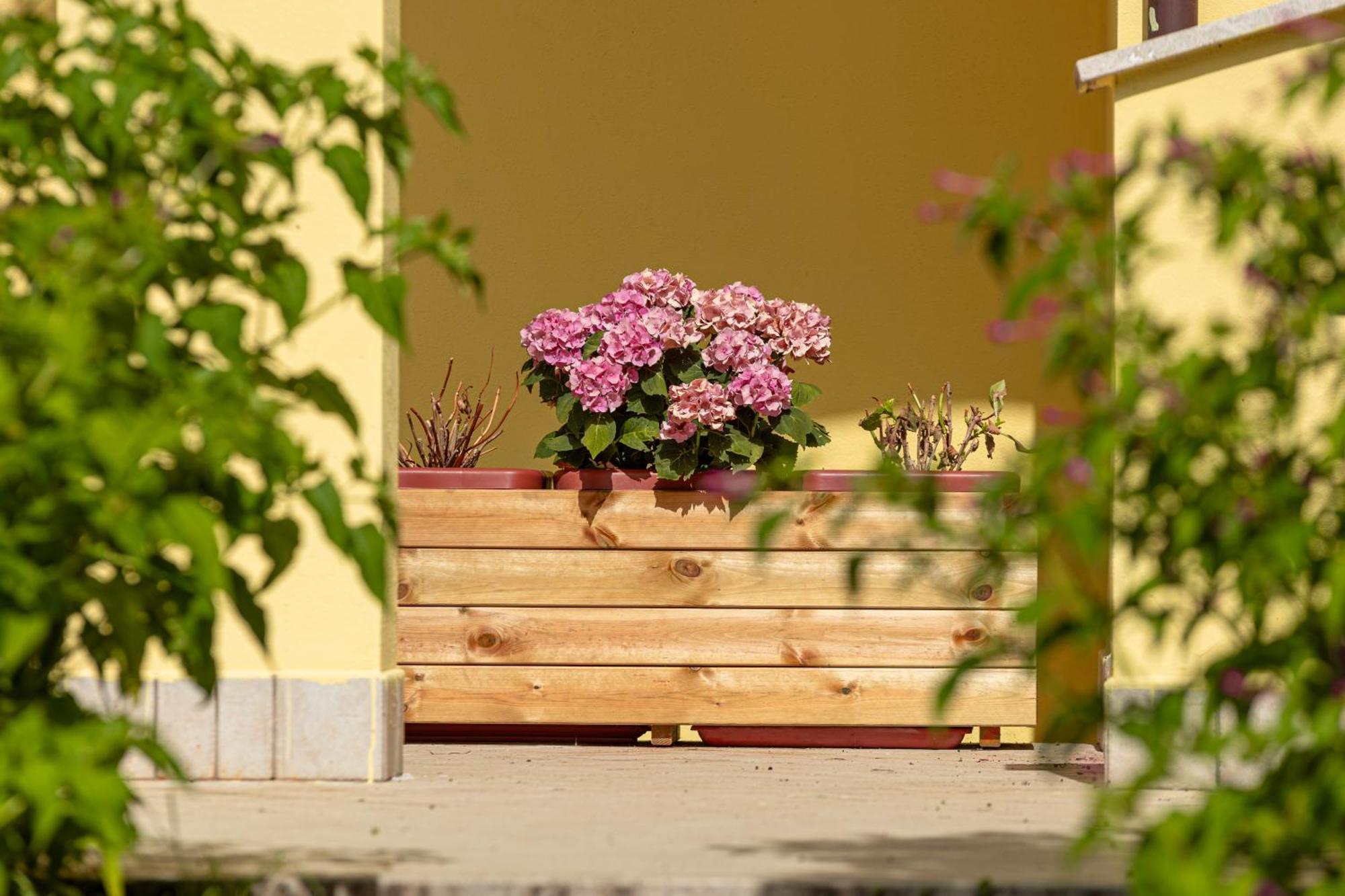 Il Frutteto Apartamento Monticchio  Exterior foto